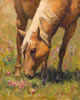 Blondie the Horse_No_2